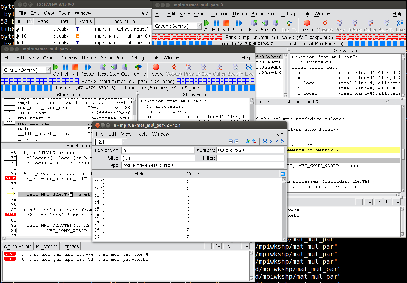 Debugging in C With TotalView